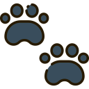 animals,dog,print,animal,paw,paw print,footprint,footprints